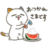 【無料】動く！夏のタマ川ヨシ子（猫）第32弾【LINEスタンプ】