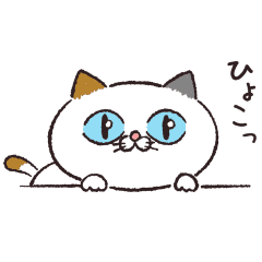 【無料】うごく！タマ川ヨシ子（猫）第33弾【LINEスタンプ】