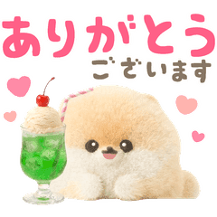 【無料】ぽぽちの夏♡やさしい気づかい＆敬語【LINEスタンプ】